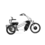 Dual Bike Huka Orthros for 2 adults with display and 8 gears, all colours